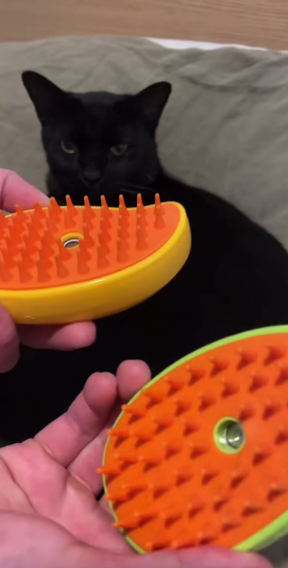 Shop our best seller: The 3 in 1 Pet Grooming Brush